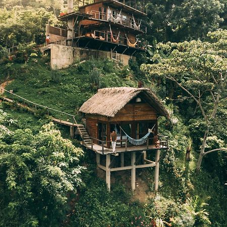 Paraiso Ahimsa Buritaca Ngoại thất bức ảnh