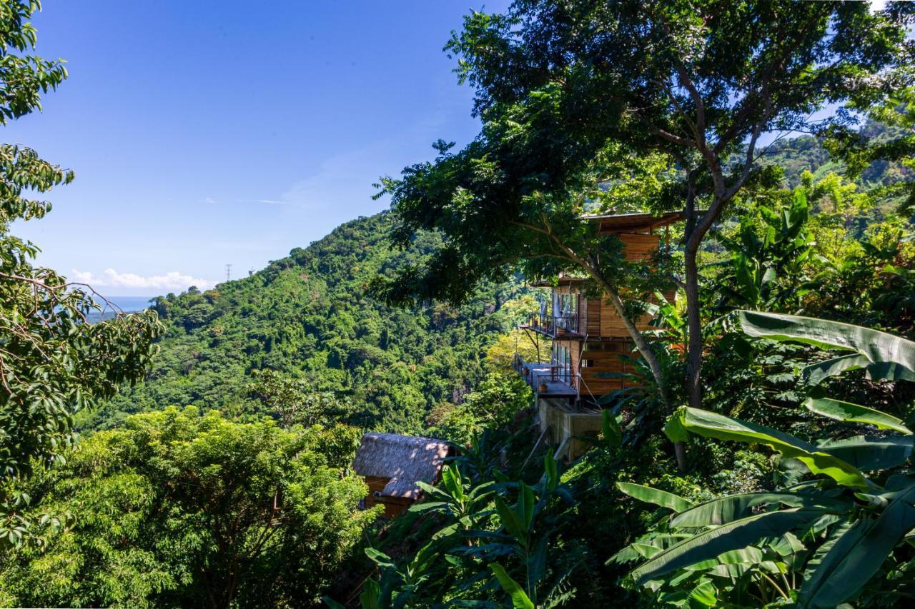 Paraiso Ahimsa Buritaca Ngoại thất bức ảnh