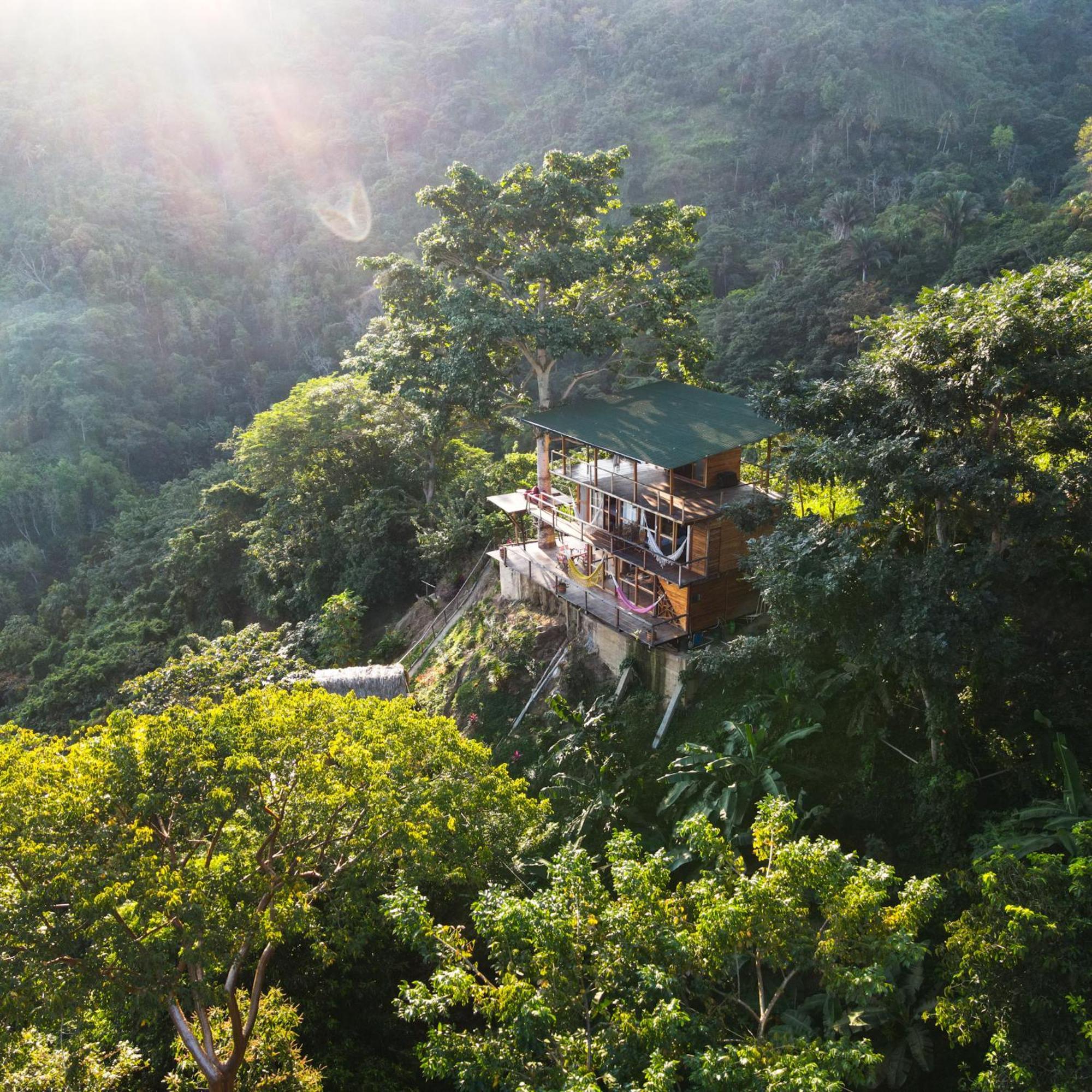 Paraiso Ahimsa Buritaca Ngoại thất bức ảnh